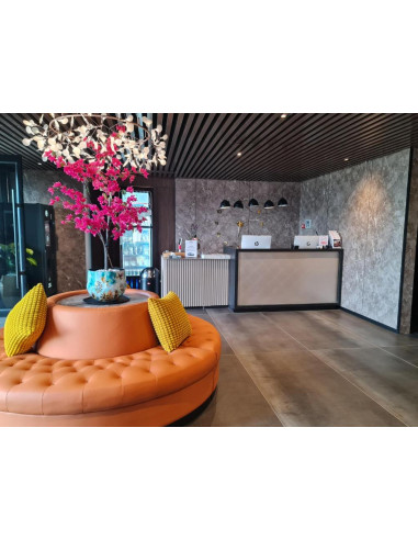 MARGUERITE –Sofas for Living Rooms, Offices,...