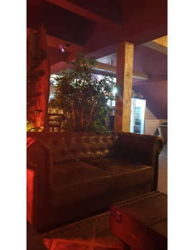 CHESTERFIELD STYLE –Sofas for Living Rooms,...