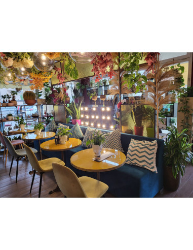 DONIA – Canapele pentru Living, Birou,...