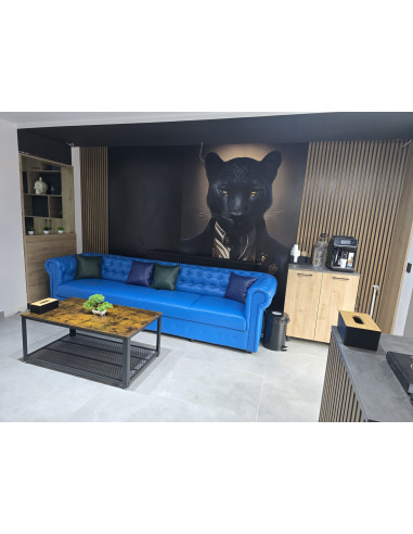 CHESTERFIELD STYLE –Sofas for Living Rooms,...